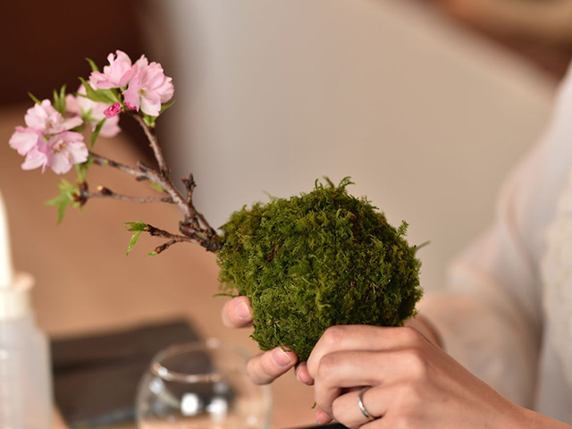 苔玉作り体験